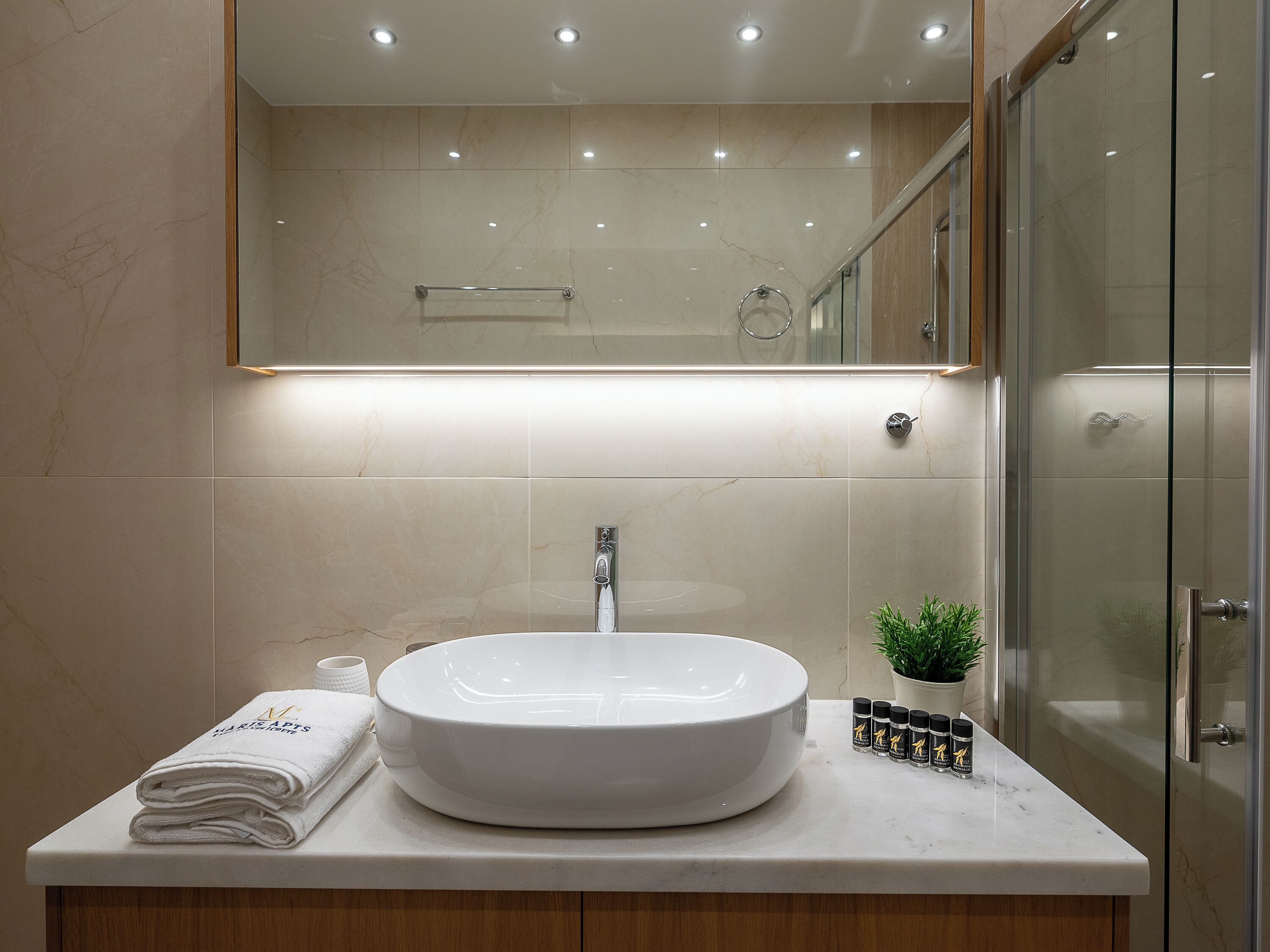 A bathroom with a large white sink, a glass shower enclosure, and a small potted plant on the counter.