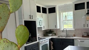 A modern kitchen with white cabinets, a built-in oven, a sink, and a potted cactus.