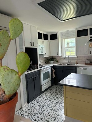 Une cuisine moderne avec des meubles blancs, un four encastré, un évier et un cactus en pot.