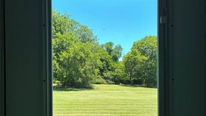 A window with a view of a grassy field and trees.