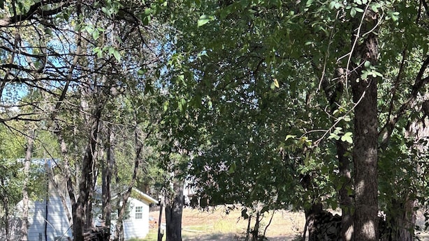 A wooded area with a clear path, a white building, and a stone wall. - The Fishin’ Shack, on Lake whitney. (Clifton)