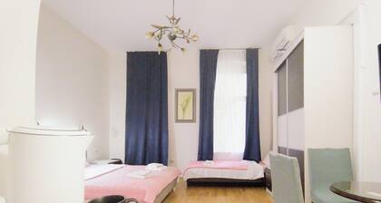 Spacious Family Room in the Hearth of Bitola.Free access to laundry and kitchen.
