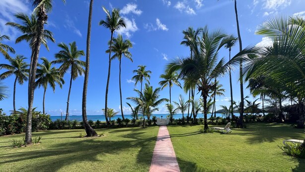 A pathway leading to a beach with palm trees and a clear sky. - Spacious 3-bedroom condo in adorable Las Terrenas with AC (Las Terrenas)