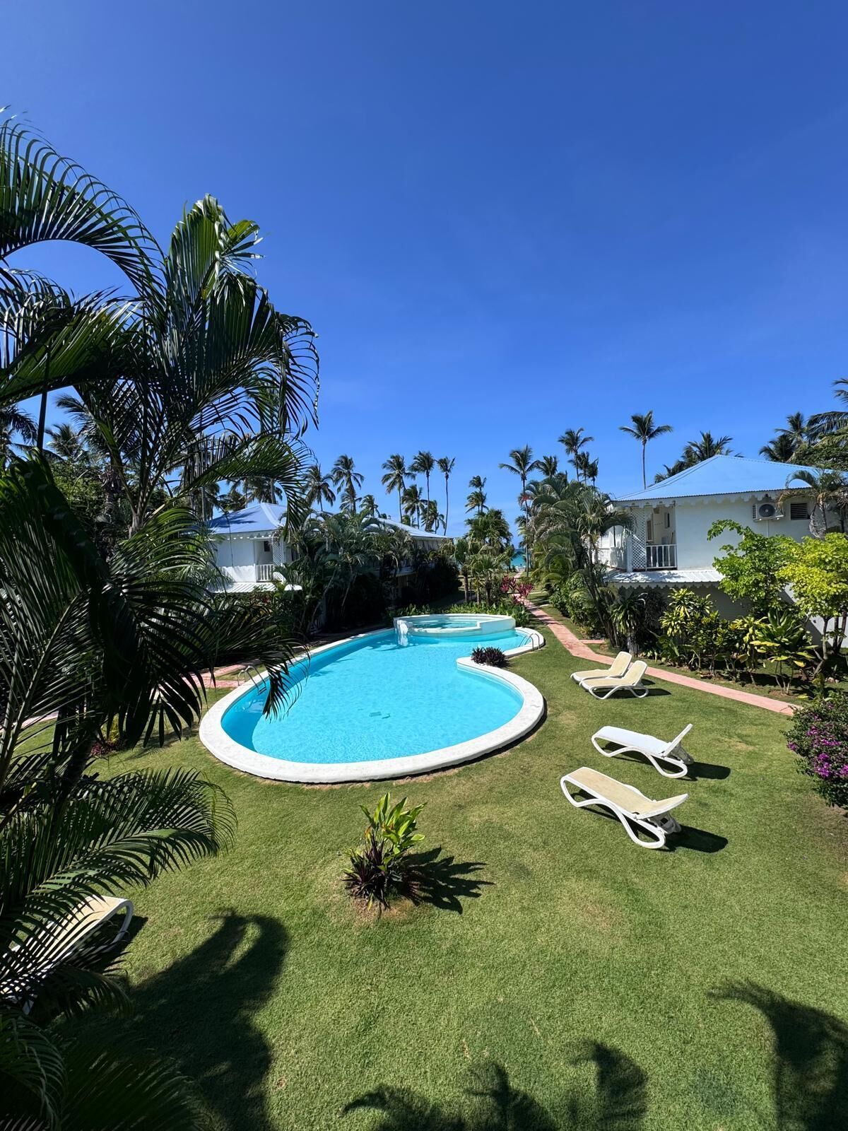 A swimming pool with lounge chairs, surrounded by palm trees and a clear blue sky.