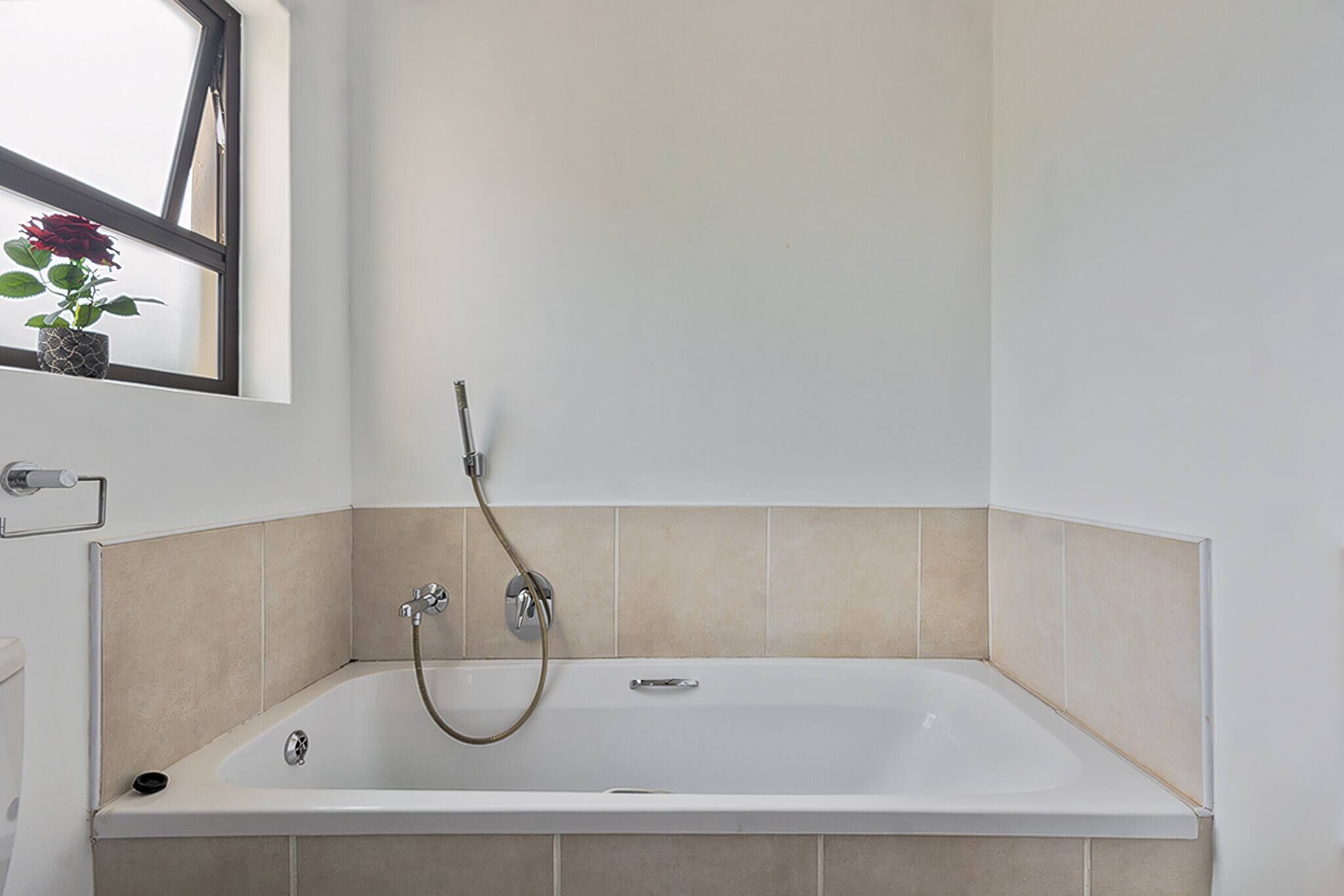 A bathroom with a bathtub, a shower, and a window with a potted plant.