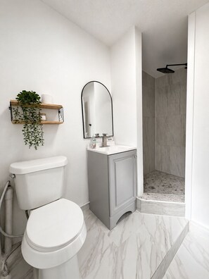 A bathroom with a toilet, a sink, a mirror, a shower, and a hanging plant.