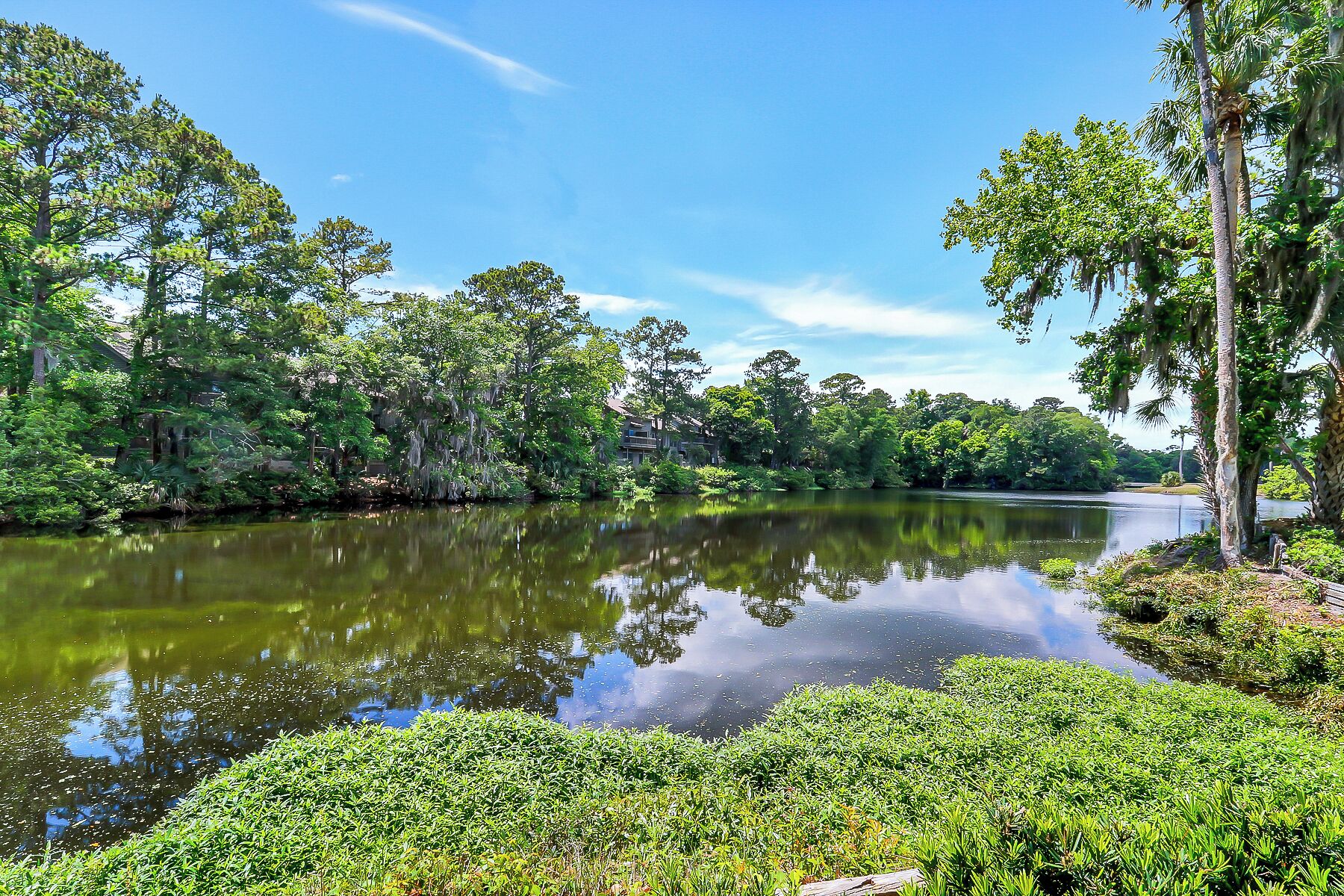 A calm river with dense greenery and trees reflecting on the water.
