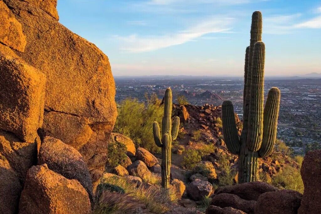 A rocky landscape with cacti and a large rock formation.