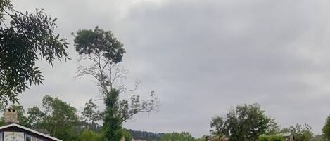 Khu ẩm thực ngoài trời