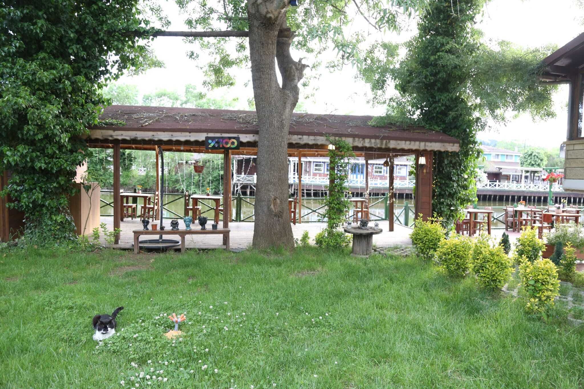 A gazebo with a roof, surrounded by grass and small plants.