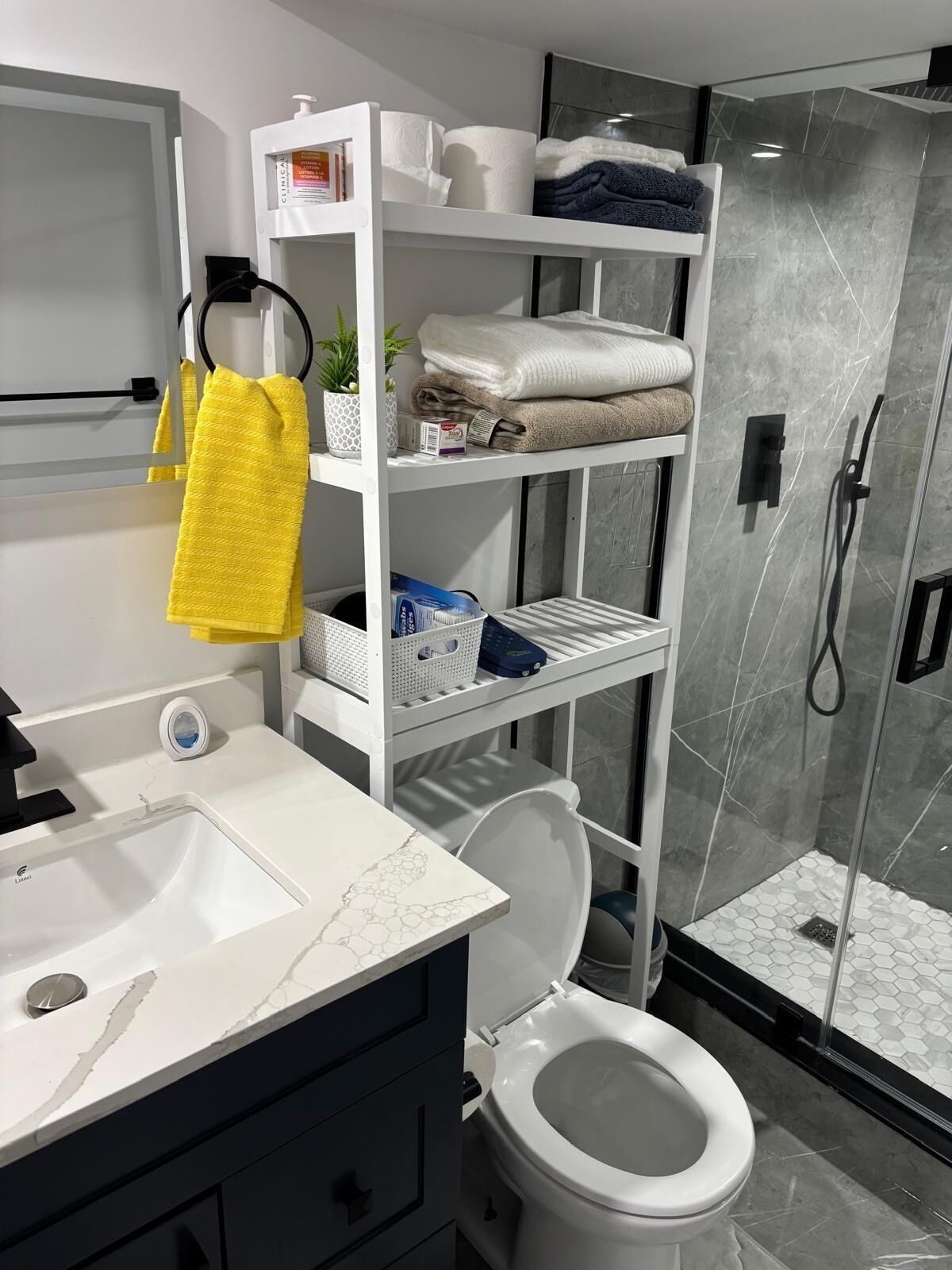 Shower, hair dryer, bidet, towels