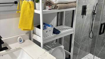 Shower, hair dryer, bidet, towels