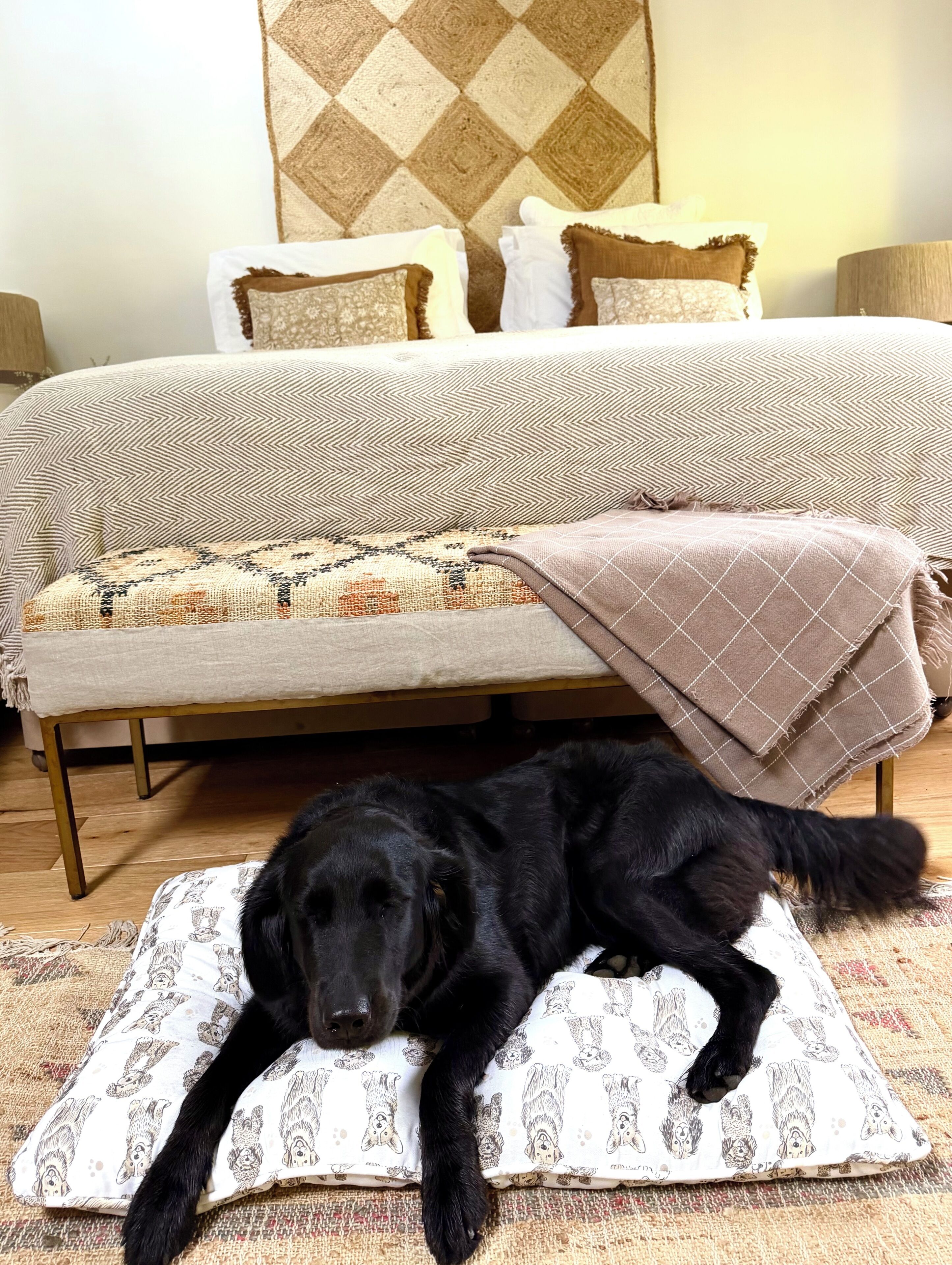 Una cama con ropa de cama estampada, una lámpara de noche y un perro descansando sobre un almohadón.