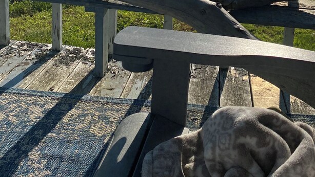 Eine Holzterrasse mit Geländer, die auf ein Gewässer und eine entfernte Küste blickt.