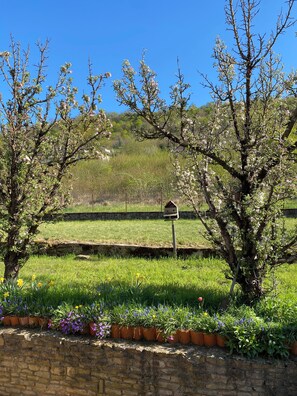 En stenvæg, et fuglehotel, en græsmark og træer med lyserøde blomster.