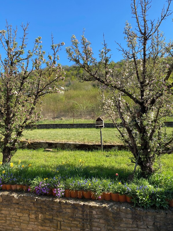 A stone wall with a birdhouse, a grassy field, and trees with pink blossoms.