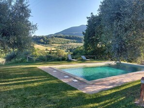 A swimming pool with a view of a mountain, surrounded by trees and grass. - Il Poggio Luxury villa in Tuscany (Toscana)