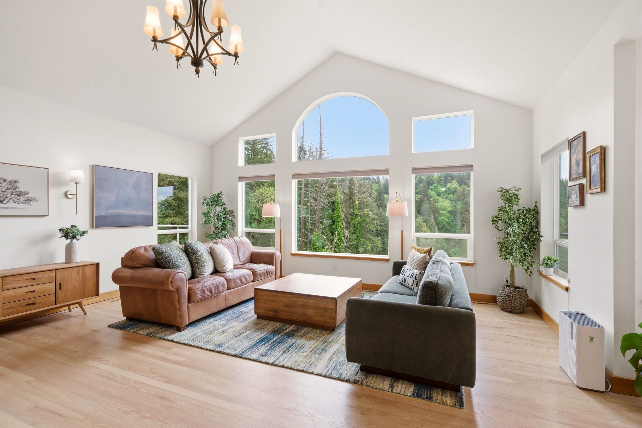 Smart TV, fireplace, books, offices