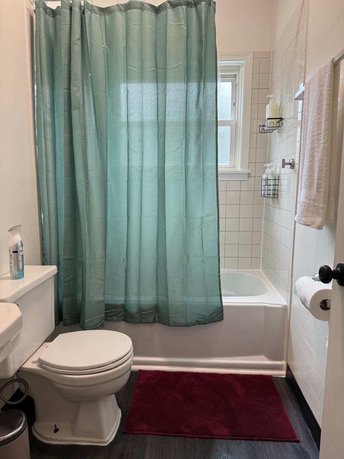 Hair dryer, towels, soap, toilet paper