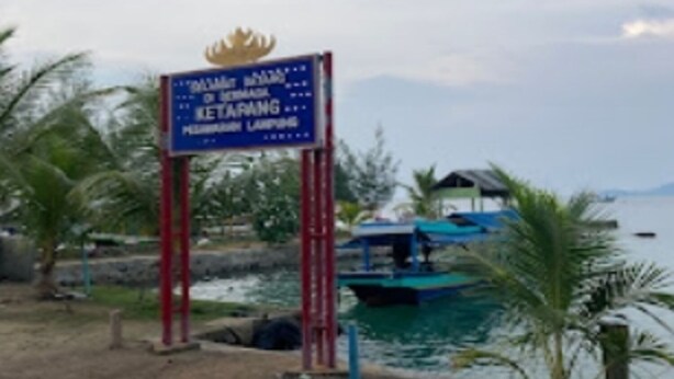 Hồ bơi