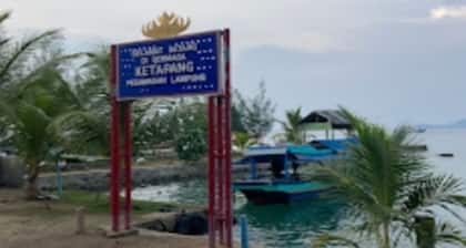 Cozzy Homestay Edo Pahawang