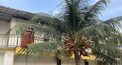 Cozzy Homestay Edo Pahawang