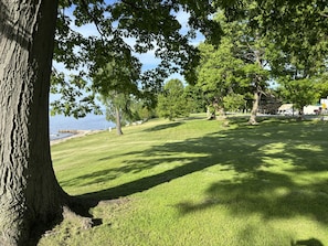 A park with a grassy area, trees, and a body of water in the background.