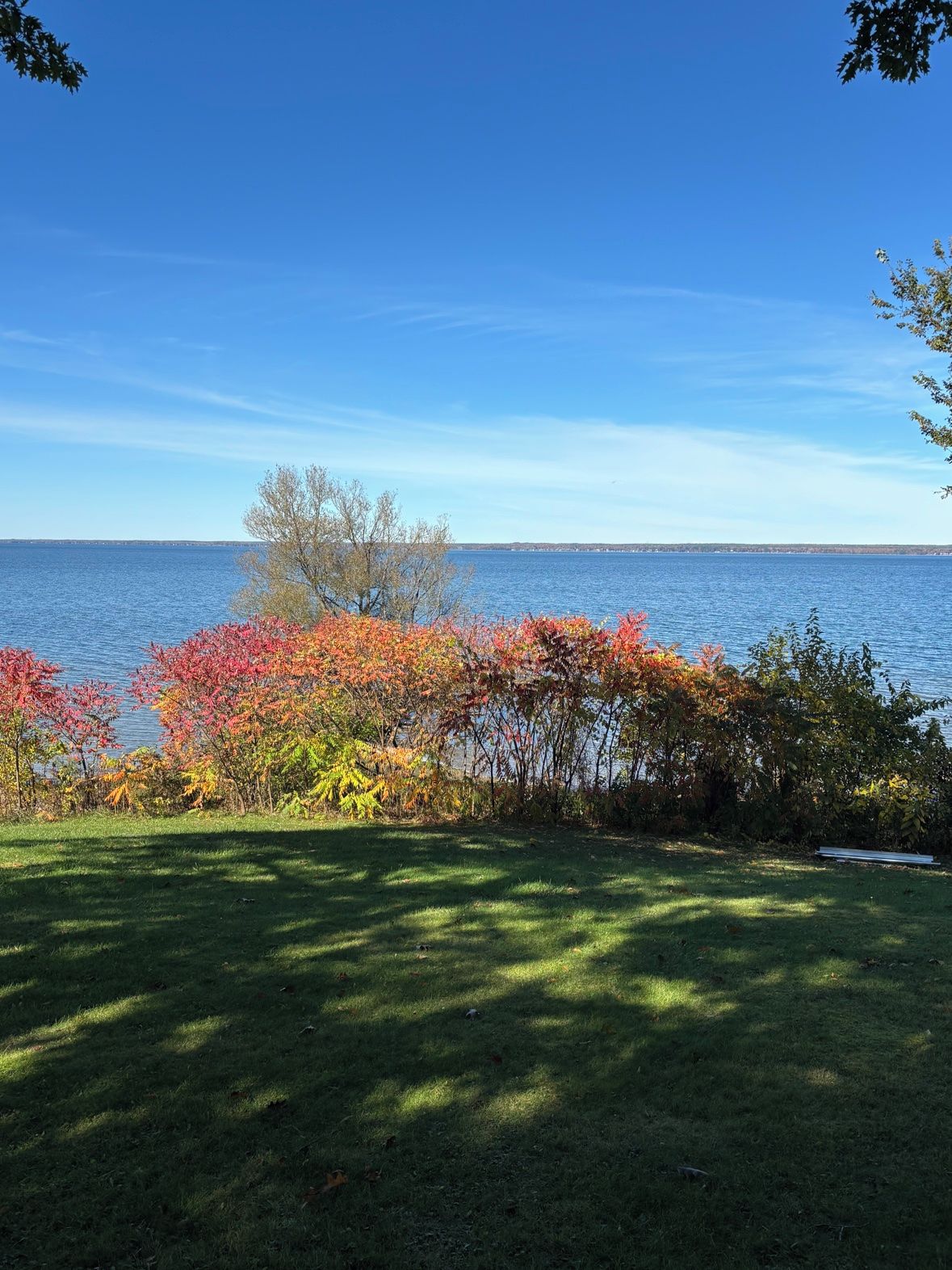A grassy area with a view of a body of water and trees with autumn foliage.