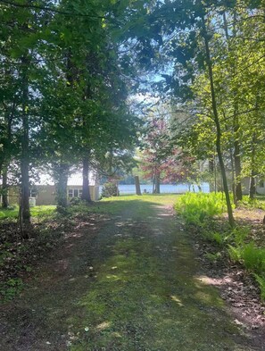 A pathway leading to a house with a view of a lake.