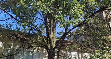 Cozy 1BR in Bridgeport w/free street parking/ McCormick/Chinatown