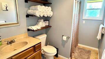 Shower, hair dryer, bidet, towels