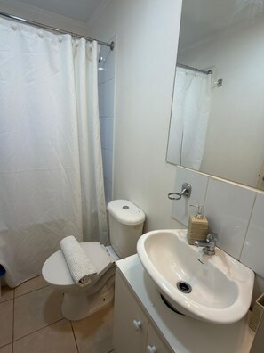A bathroom with a toilet, bidet, sink, and a mirror. - El Rincon de Paz, House equipped at 11 km airport (Puerto Montt)