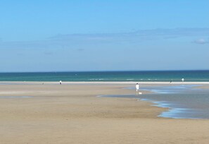 Ein Strand mit Menschen, die entlanggehen, einem klaren Himmel und ruhigem Wasser.