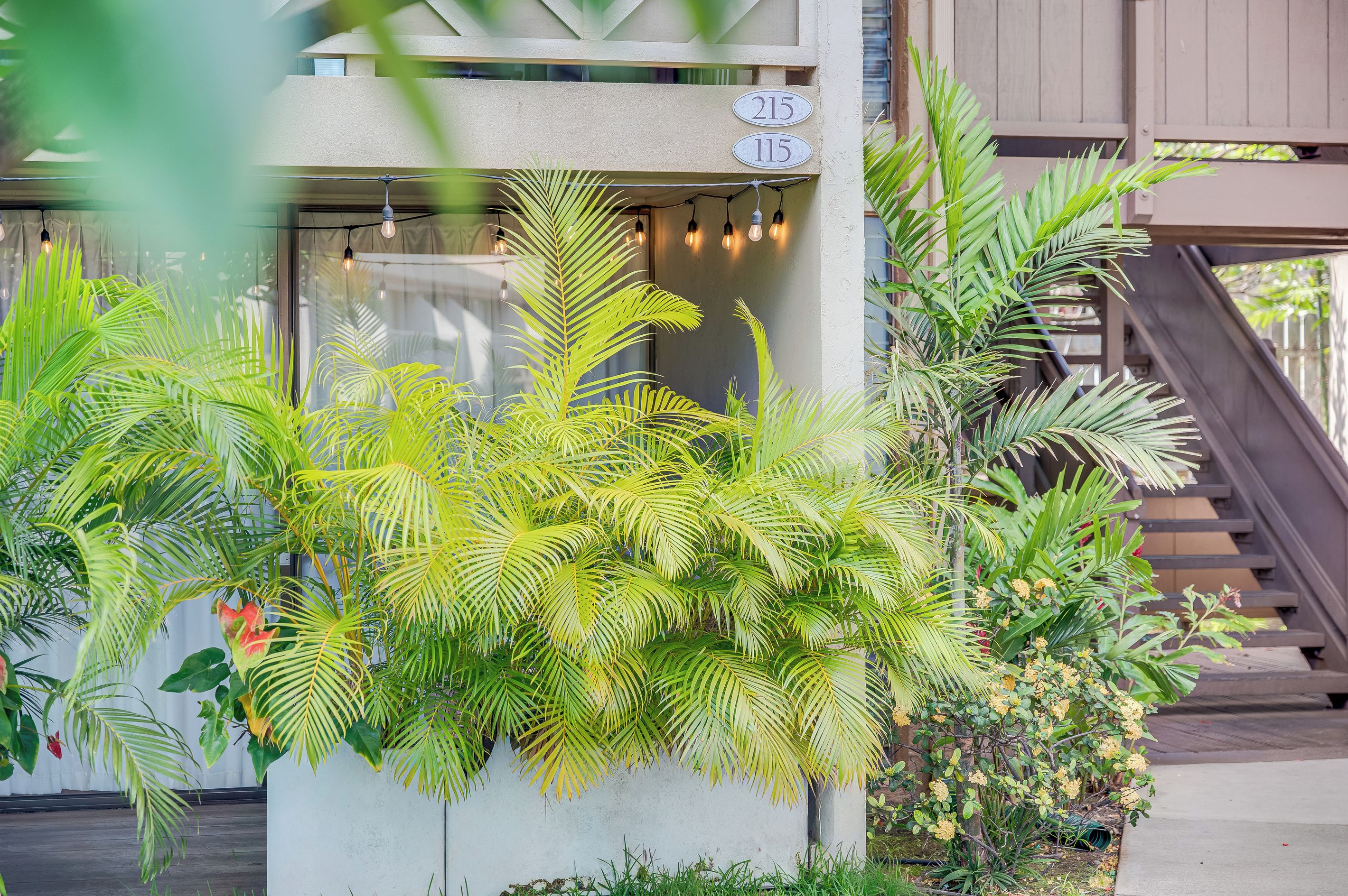 Une entrée d’immeuble avec un escalier, des plantes en pot et un panneau indiquant le numéro de l’immeble.