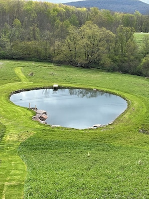 Un étang circulaire, entouré d’un champ herbeux, avec des arbres en arrière-plan.