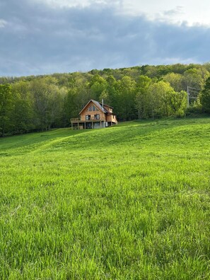 Une maison en bois dotĂ©e dâun porche, entourĂ©e dâun champ verdoyant et dâune forĂȘt dense.