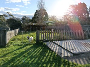 A fenced yard with a grassy area, a wooden fence, and a metal gate.