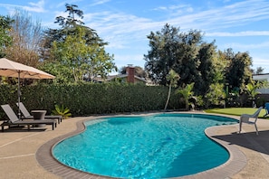 Ein gewundener Pool mit Liegestühlen und Sonnenschirm, umgeben von Grünpflanzen und einer Hecke.