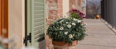 Un edificio de ladrillo con contraventanas verdes, una terraza de madera y una planta en maceta con flores blancas.