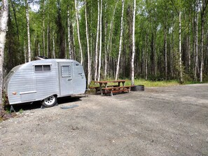 A silver recreational vehicle parked next to a picnic table in a forested area. - Denali Scotty @ Creekside Campground (Willow)