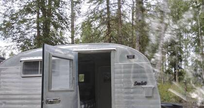 Denali Scotty @ Creekside Campground