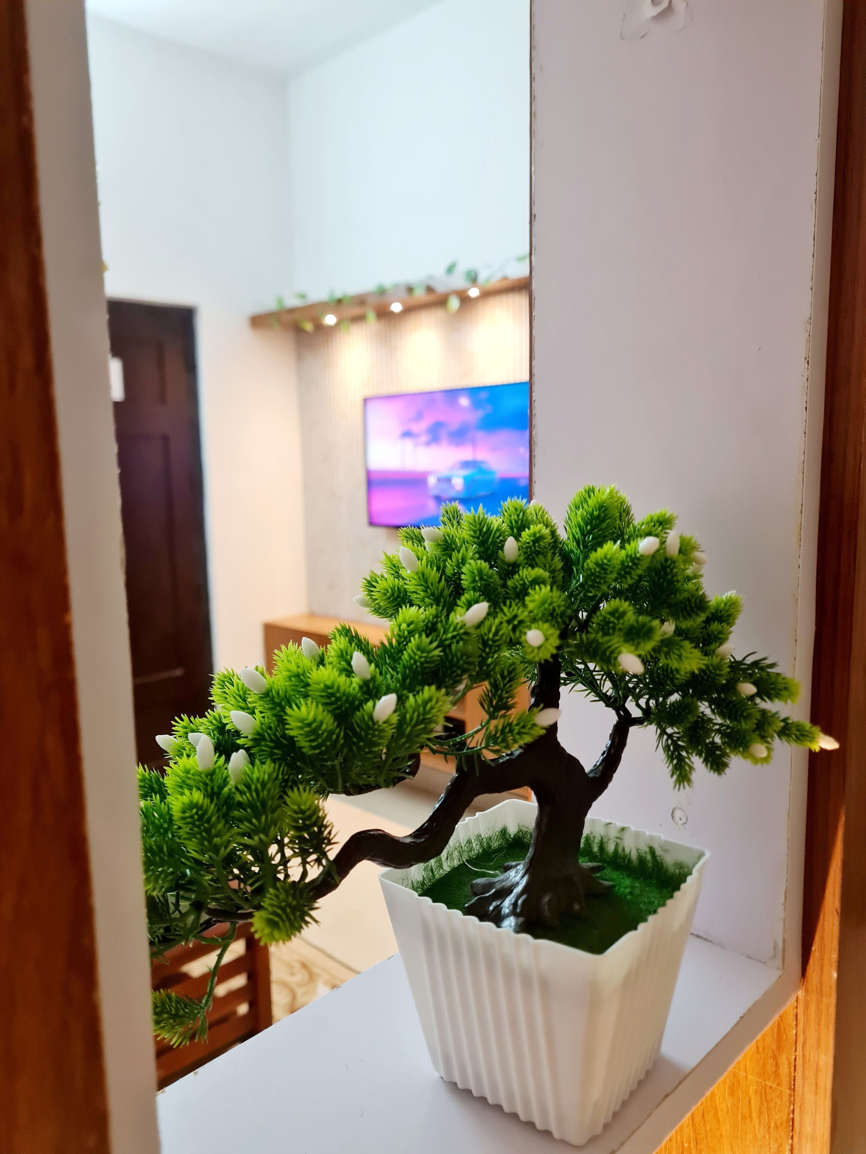 Un arbre bonsai en pot, posé sur une étagère blanche.