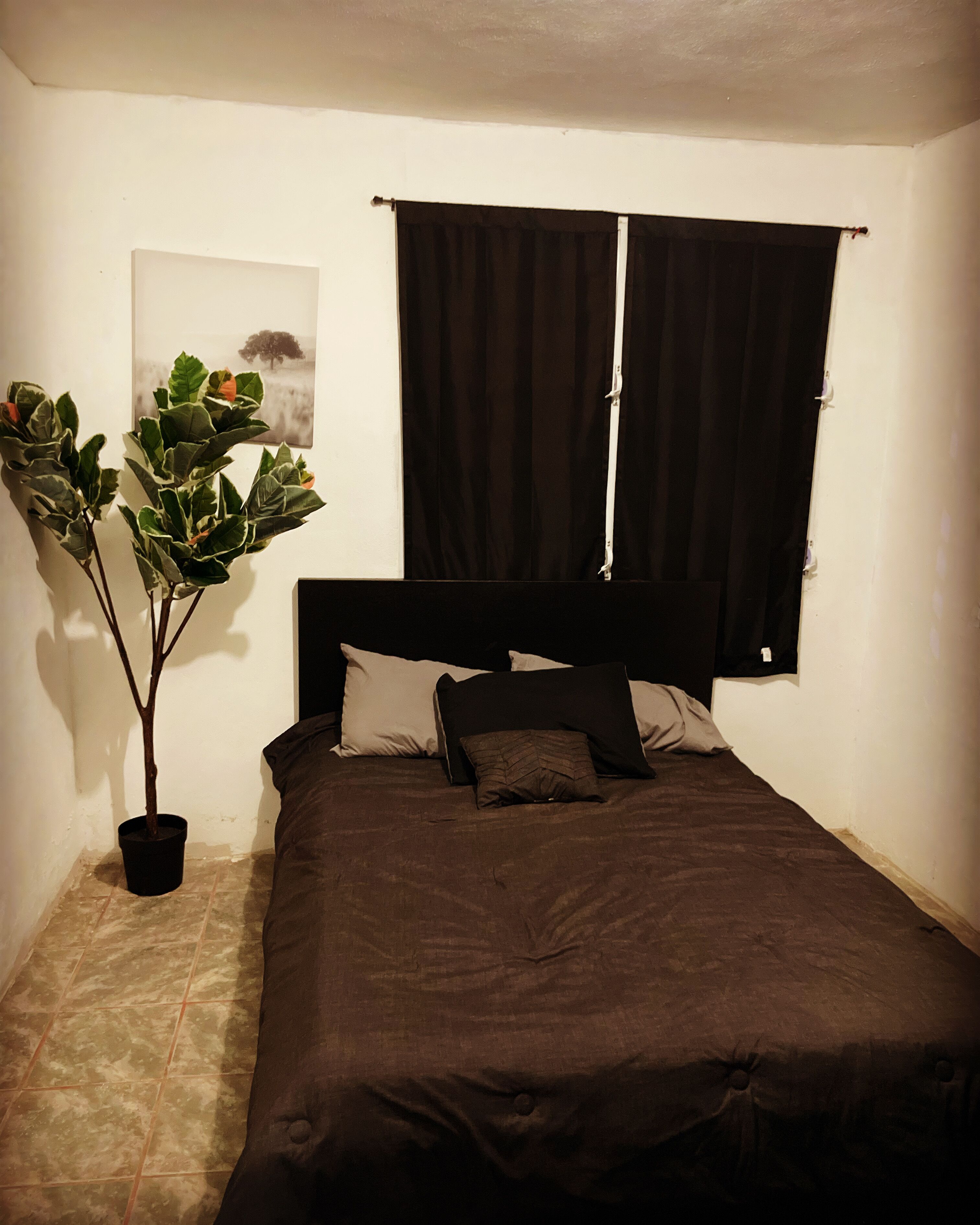 A bedroom with a bed, a potted plant, a window with curtains, and a wall-mounted painting.