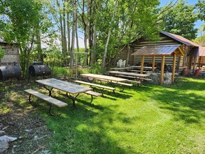 Eine rustikale Außenanlage mit Picknicktischen, einer Holzhütte und einem Grill.
