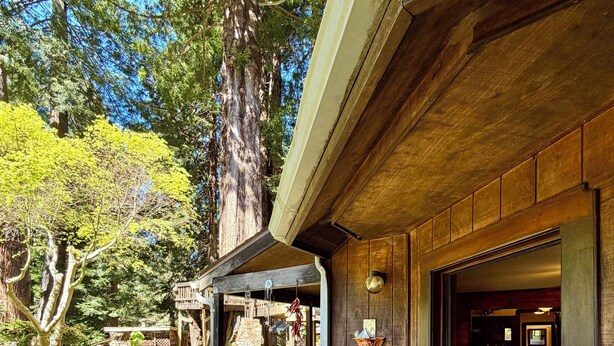 Une terrasse en bois avec une pergola, un pot de fleurs et une vue sur l’intérieur de la maison.