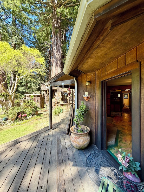 Een houten terras met een pergola, een plant in pot en uitzicht op het huis.