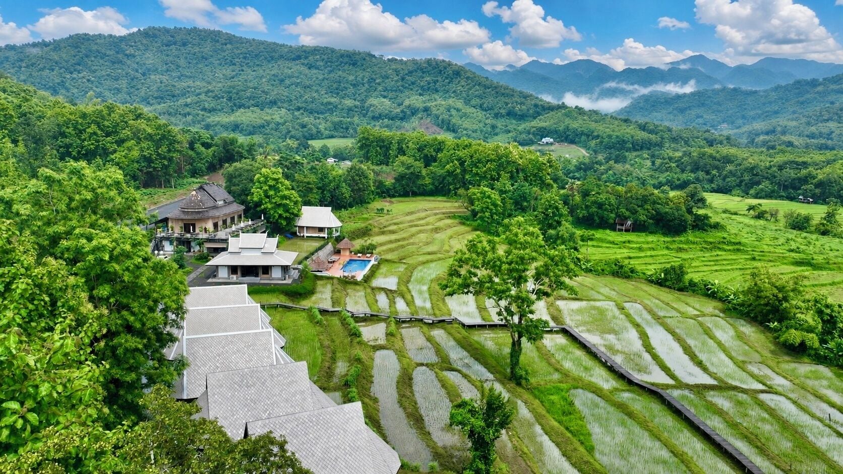Campo de arroz en terrazas con una casa tradicional y una piscina.