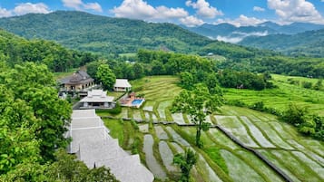 Campo de arroz en terrazas con una casa tradicional y una piscina.