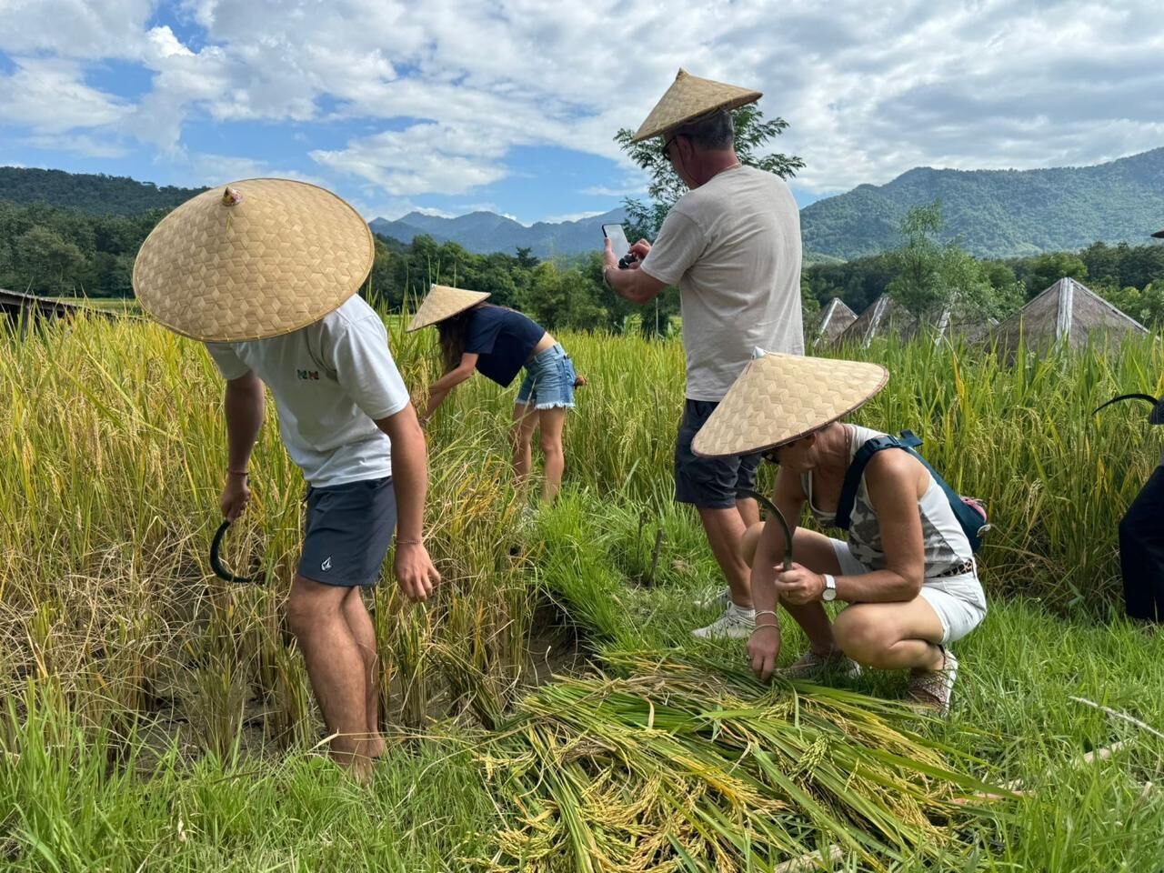 Personas en un campo de arrozales, con sombreros cónicos, y una persona tomando una fotografía.