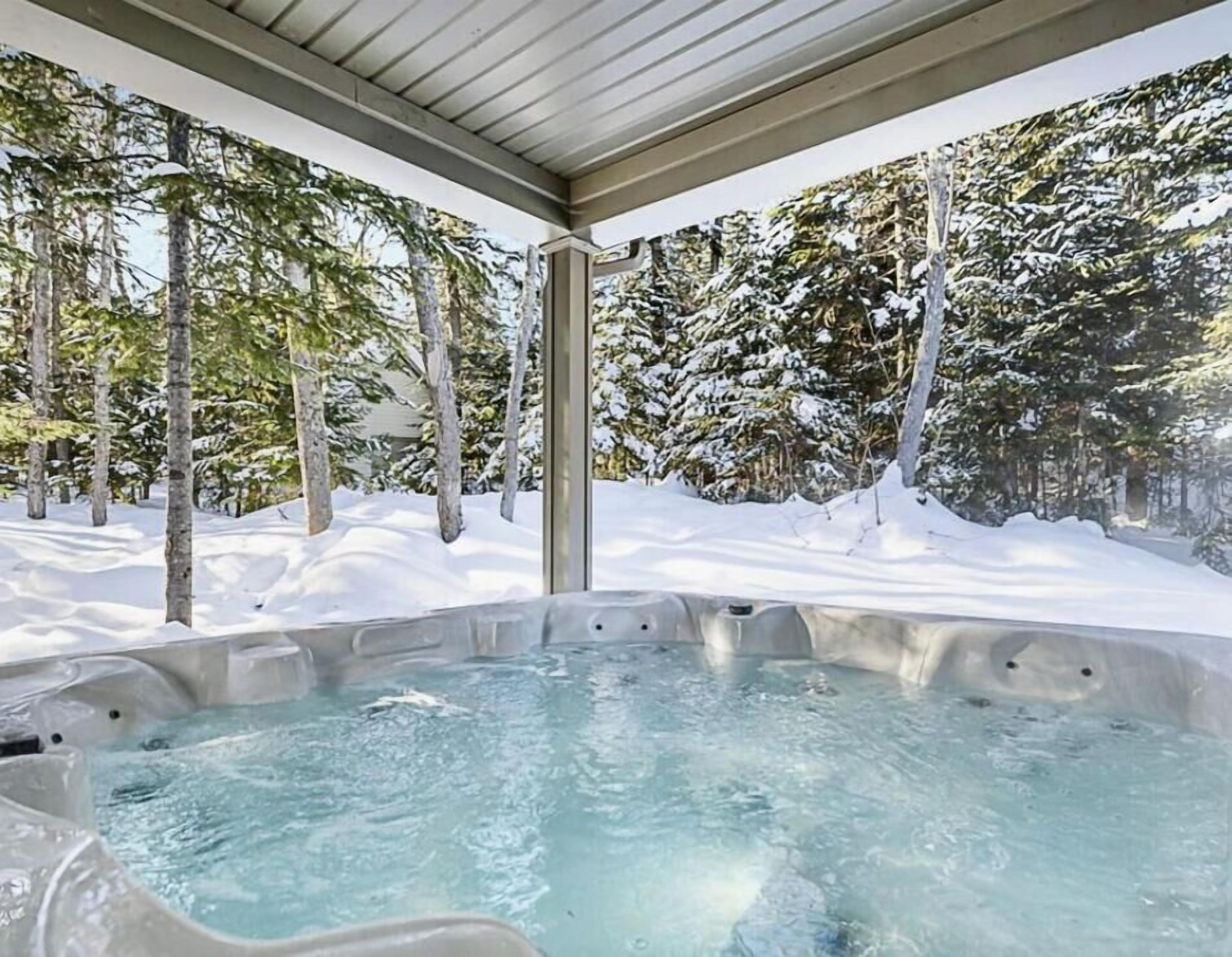 A hot tub in a snowy outdoor setting with trees in the background.